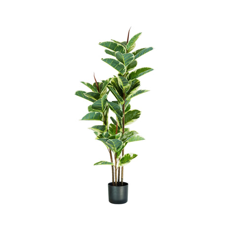 Ficus elastica-kunstplant van polyethyleen met 54 bladeren en pot met mos, 145 cm