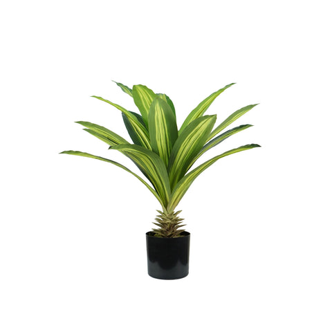Dracaena-kunstplant van polyethyleen met 19 bladeren en pot met mos, 60 cm