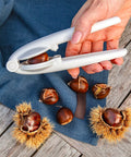 Taglia Castagne in Acciaio e ABS – Lama Seghettata 17x5x4 cm