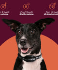 Collare Educativo Cani Taglia Grande/Piccola - Impermeabili e Controllo fino a 1000m