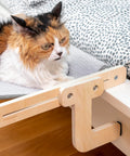 Letto pensile per gatti Puppy Lovers con gatto tricolore che si rilassa, struttura in legno naturale resistente, massimo comfort