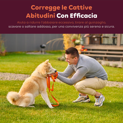 Collare Educativo Cani Taglia Grande/Piccola - Impermeabili e Controllo fino a 1000m
