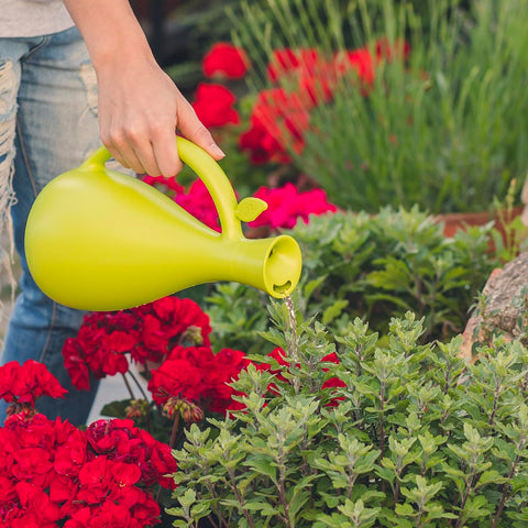 Annaffiatoio in Plastica Verde 1,6L per Piante da Interno e da Balcone Ean-8411782007880
