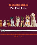 Collare Educativo Cani Taglia Grande/Piccola - Impermeabili e Controllo fino a 1000m