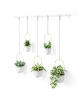 immagine-1-umbra-set-5-fioriere-a-sospensione-con-asta-bianco-ean-028295374866