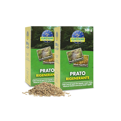 Set 2 confezioni semi rigeneranti per prato Euroseme da 500g, ideali per riparare zone danneggiate e rigenerare il manto erboso
