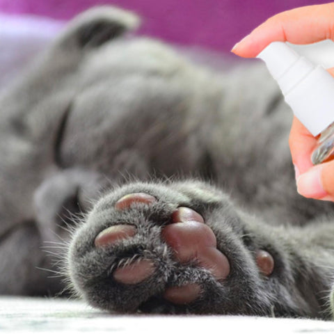 immagine-2-smapiu-spray-igienizzante-zampe-per-animali-con-spugnetta-55ml-ean-8033765130790