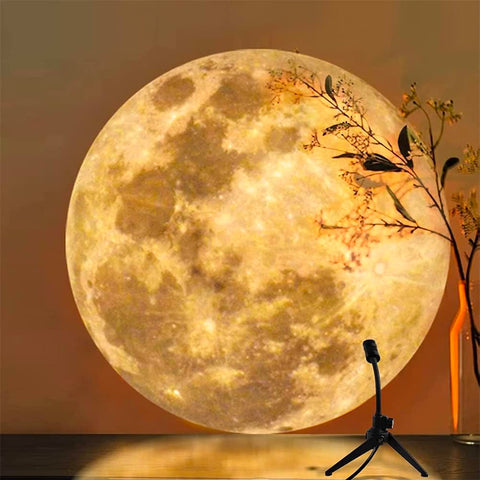 Dettaglio proiezione luna con cratere realistico in ambiente caldo con piante decorative, perfetto per meditazione e relax
