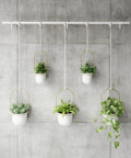 immagine-3-umbra-set-5-fioriere-a-sospensione-con-asta-bianco-ean-028295374866
