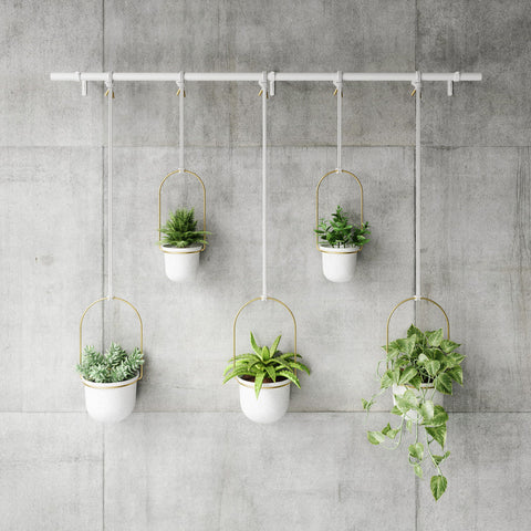 immagine-3-umbra-set-5-fioriere-a-sospensione-con-asta-bianco-ean-028295374866