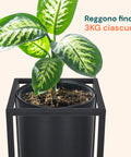 avilia home set 2 portapiante con vaso e struttura in ferro dal design moderna ean 8056819053234