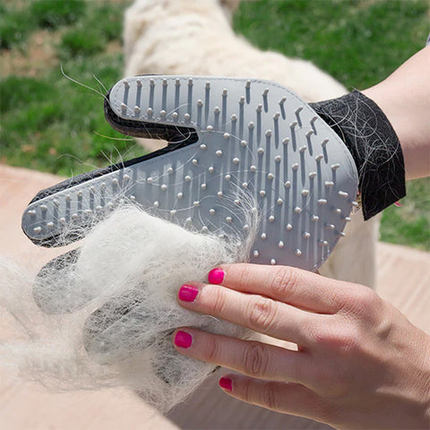immagine-4-innovagoods-guanto-per-pettinare-e-massaggiare-animali-domestici-in-silicone-ean-8435527813512