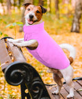 immagine-6-visto-in-tv-copertina-per-cani-con-maniche-ean-7569000696031