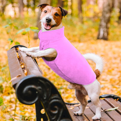 immagine-6-visto-in-tv-copertina-per-cani-con-maniche-ean-7569000696031
