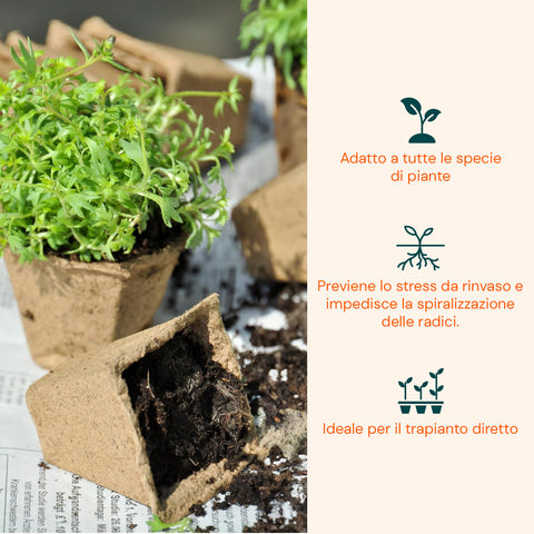 zendea vasetti in torba biodegradabili per semina e trapianto set 120 pezzi ean 8050030810546