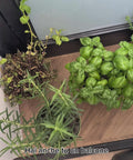 Avilia Set 3 Contenitori Cassetti Multiuso Portaoggetti Impilabili e Richiudibili Terrazzo Balcone Frutta Verdura Cibo Alimenti Frutta Verdura Piante Aromi Uso Esterno Ean 8056819050172