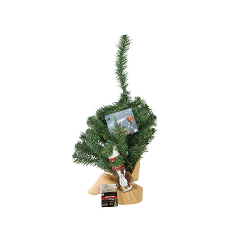 immagine-1-euronatale-albero-di-natale-innevato-con-luci-led-50cm-ean-8019959866249