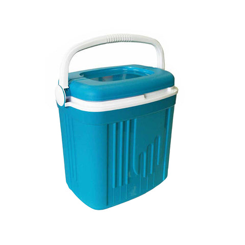 Draagbare koelbox 32 l
