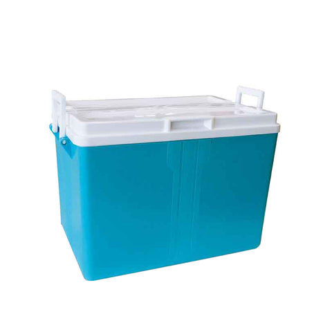 Draagbare koelbox 52 l