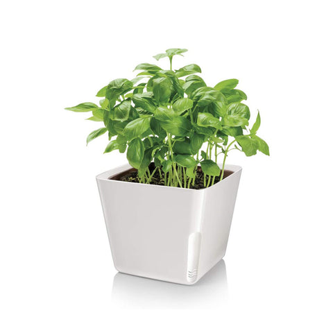 Vierkante metalen plantenpot wit 13x11 cm