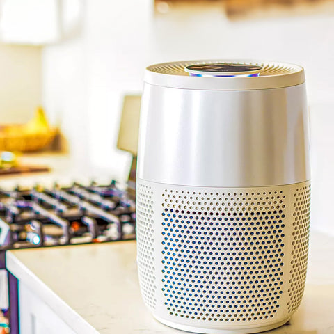 Perfetto per cucina e casa con filtro HEPA-13, carboni attivi e rivestimento antimicrobico per purificazione efficace