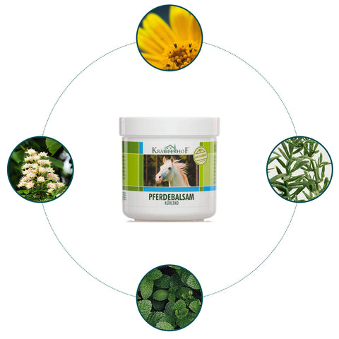 immagine-4-krauterhof-gel-rinfrescante-rivitalizzante-500ml-ean-4075700054703