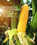 immagine-4-maisonrouge-4-taniche-25l-bioetanolo-denaturato-96-ean-8054806360136