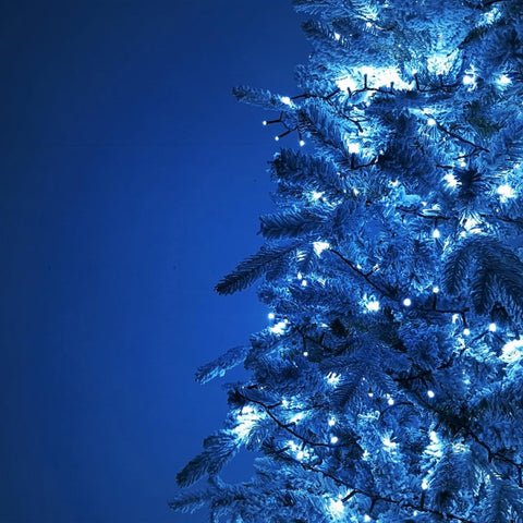 immagine-6-euronatale-catena-luminosa-per-esterno-500-luci-blu-25m-ean-8019959422377